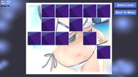 Hentai Girls Puzzles screenshot, image №1666904 - RAWG