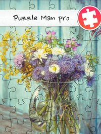 Puzzle Man Pro screenshot, image №1779690 - RAWG