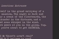 HW #2 | Text Adventure screenshot, image №1299678 - RAWG