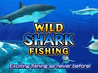 Wild Shark Fishing screenshot, image №2066103 - RAWG