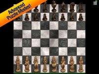 Chess - Online Multiplayer 3D screenshot, image №1729493 - RAWG