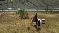 Riding Club Championships screenshot, image №106856 - RAWG