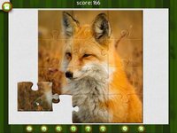 1001 Jigsaw. Wild Animals screenshot, image №3949394 - RAWG