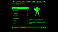 Fallout Pip-Boy screenshot, image №687257 - RAWG