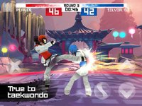 Taekwondo Game screenshot, image №870763 - RAWG