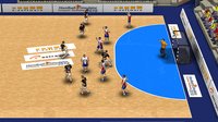 Handball Simulator: European Tournament 2010 screenshot, image №556327 - RAWG