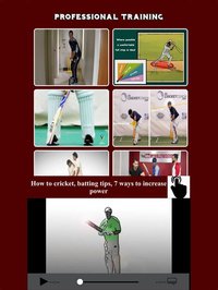 Cricket Academy - Training and Coaching for PRO screenshot, image №1683298 - RAWG