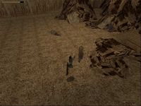 Tomb Raider screenshot, image №320419 - RAWG