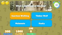 The Ultimate Trivia Challenge screenshot, image №1673301 - RAWG