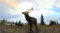 Cabela's Big Game Hunter Pro Hunts screenshot, image №779453 - RAWG