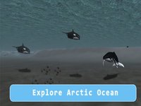 Orca Killer Whale Survival Simulator 3D - Play as orca, big ocean predator! screenshot, image №1625928 - RAWG