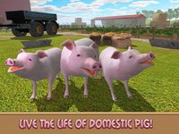 Life of House Pig Simulator screenshot, image №1734506 - RAWG