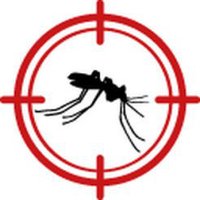 Combate Aedes screenshot, image №1636323 - RAWG