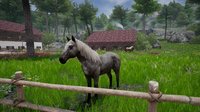 Horse Riding Deluxe 2 screenshot, image №2333987 - RAWG