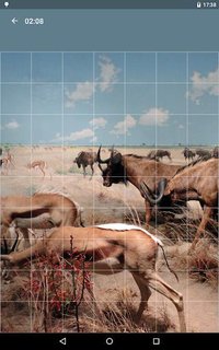 Jigsaw Puzzle: Animals screenshot, image №1497952 - RAWG
