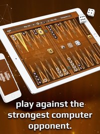 Backgammon Gold screenshot, image №1601619 - RAWG