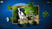 Puppy Dog: Jigsaw Puzzles screenshot, image №146154 - RAWG