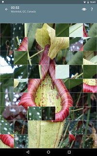 Jigsaw Puzzle: Flowers screenshot, image №1497485 - RAWG