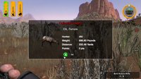 Deer Hunter Tournament screenshot, image №346355 - RAWG