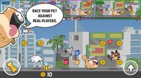 Pets Race - Fun Multiplayer PvP Online Racing Game screenshot, image №1348329 - RAWG