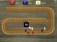 Cribbage Pegboard screenshot, image №896561 - RAWG