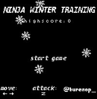 Ninja Winter Training screenshot, image №2654653 - RAWG