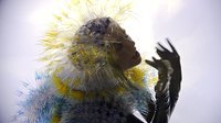 Björk Vulnicura Virtual Reality Album screenshot, image №2140834 - RAWG