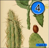 Verdant Arizona screenshot, image №2316078 - RAWG