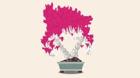 Bonsai Builder screenshot, image №3121935 - RAWG