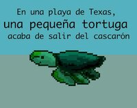 En una playa de Texas, una pequeña tortuga acaba de salir del cascarón screenshot, image №2478051 - RAWG