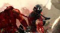 Ninja Gaiden 3 screenshot, image №564139 - RAWG