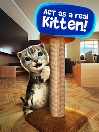 Cat Simulator 2015 screenshot, image №940636 - RAWG