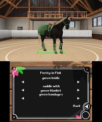 My Horse 3D - Best Friends screenshot, image №798076 - RAWG