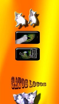 Gatos Locos screenshot, image №1313992 - RAWG