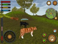 Cat Survival Simulator screenshot, image №2683187 - RAWG