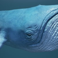 Inner Sea screenshot, image №1006278 - RAWG