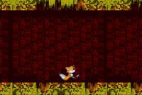 Sonic Evil Nightmare Beginning screenshot, image №1218141 - RAWG
