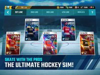 CBS Franchise Hockey 2018 screenshot, image №1773011 - RAWG