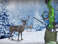 Bow Hunter Russia: Archery Game - Wild Animals Hunting in 3D screenshot, image №2067319 - RAWG