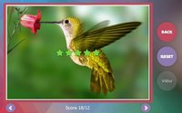 Déjà Vu - Zoo screenshot, image №1530305 - RAWG