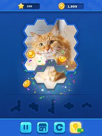 Hexa Jigsaw Challenge screenshot, image №2644364 - RAWG