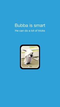 Bubba the Dog - Virtual pet for Apple Watch + iPhone screenshot, image №1330057 - RAWG