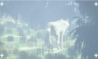 Animal Photo screenshot, image №2748831 - RAWG
