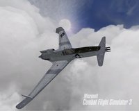 Microsoft Combat Flight Simulator 3: Battle for Europe screenshot, image №311270 - RAWG