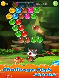 Burst All Bubbles screenshot, image №912880 - RAWG