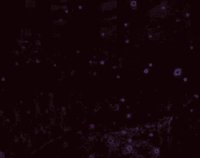 Computronium screenshot, image №2020555 - RAWG