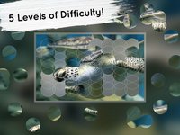 Venn Turtles: Overlapping Jigsaw Puzzles screenshot, image №1788606 - RAWG