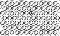 BubbleWrap+ screenshot, image №3756760 - RAWG