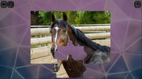 Puzzles for smart: Horses screenshot, image №1703051 - RAWG