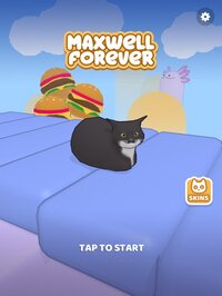 Maxwell Forever - Cat Game screenshot, image №3783081 - RAWG